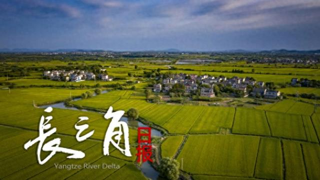 【长三角日报】长鑫科技IPO背后，阿里赚翻了